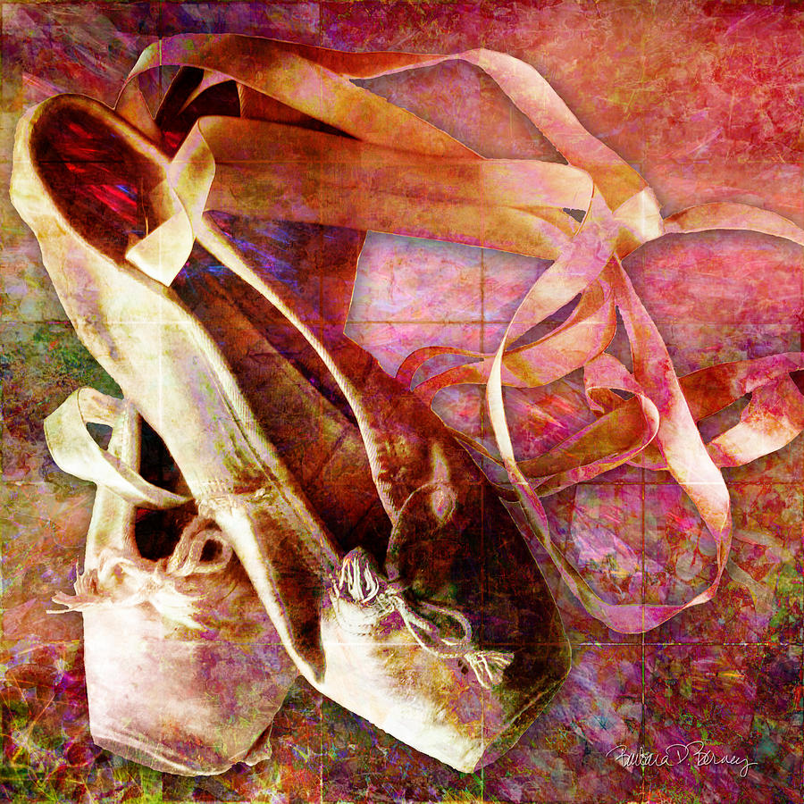 Toe Shoes Digital Art by Barbara Berney