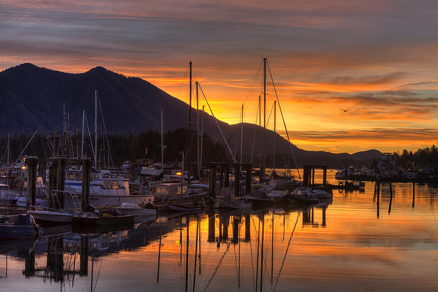 Boat Photograph - Tofino Docks Sunrise - A Tribute by Mark Kiver