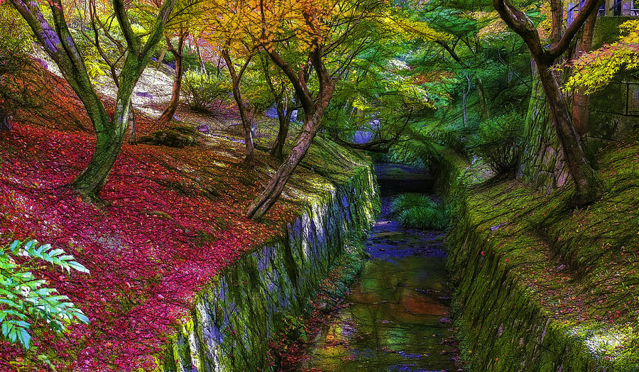 Nature Digital Art - Tofukuji colors by Jean-Marc Lacombe