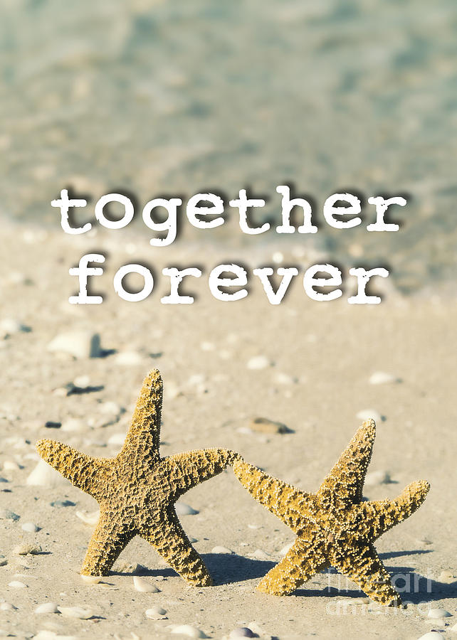 Together Forever Photograph by Edward Fielding