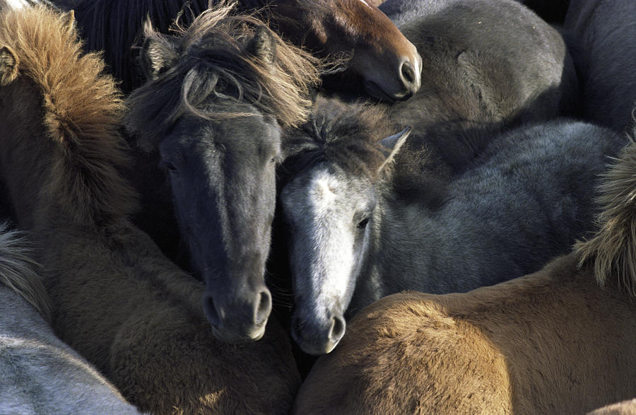 Together Photograph By Fred Newman Fine Art America