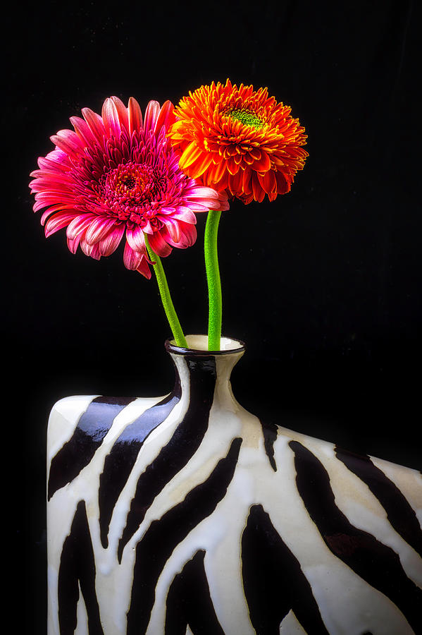 Together In A Vase Photograph by Garry Gay