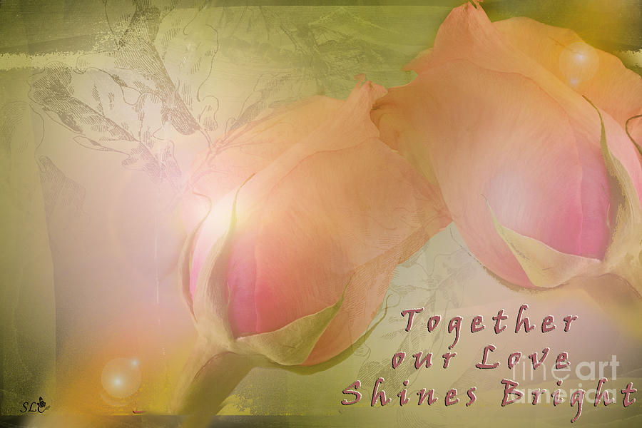 Together Our Light Shines Photograph by Sandra Clark
