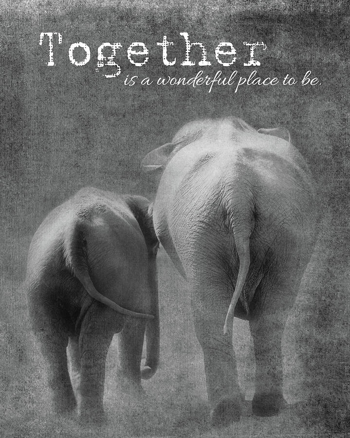Together Photograph