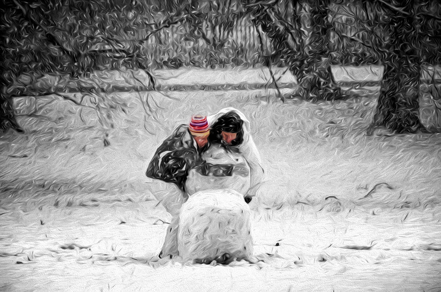 Winter Photograph - Together We Can by Steven Michael