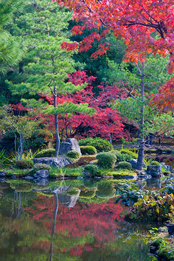 Fall Photograph - Toji-in Reflection by CJ Middendorf