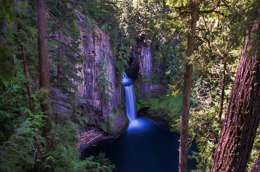 Tokatee Falls Oregon Photograph by Scott McGuire