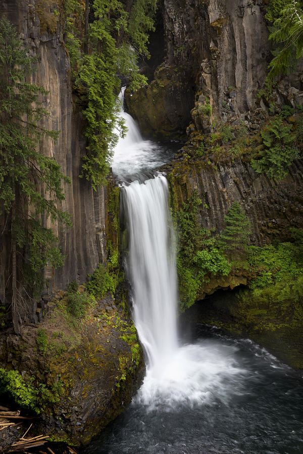 Toketee Falls Photograph by T J Hankins