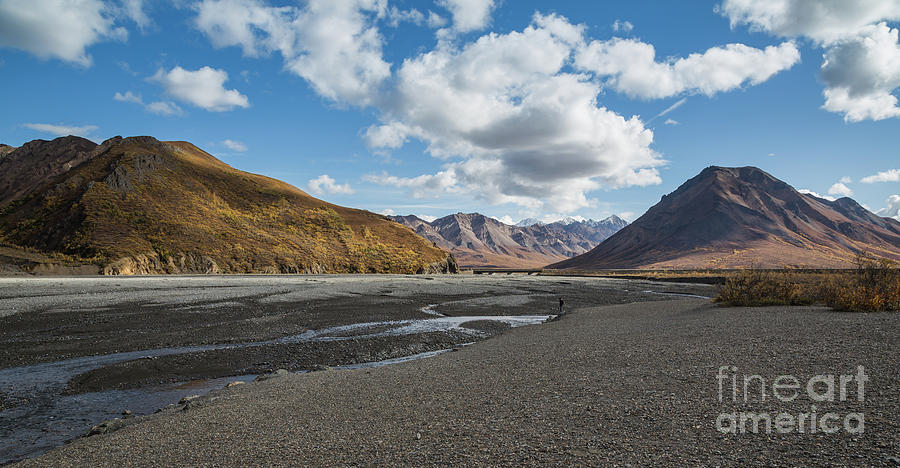 Denali National Park Photograph - Toklat River by Eva Lechner