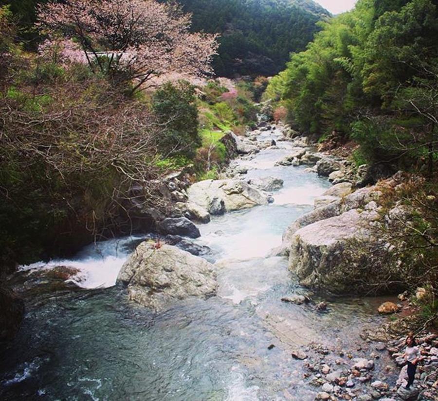 Nature Photograph - #tokushima #japan
#travel #instatravel by Tsukasa Yamamoto 