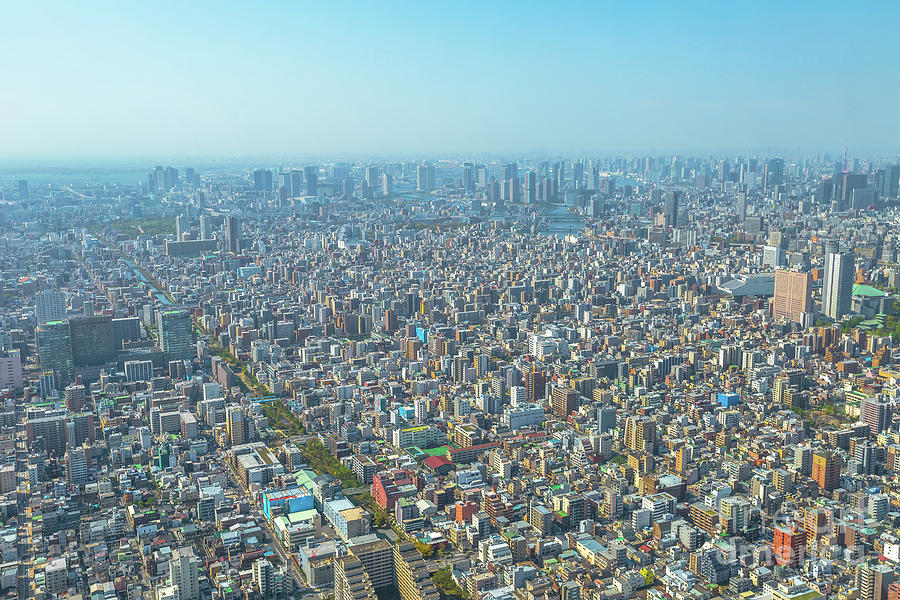 Tokyo and Odaiba skyline Photograph by Benny Marty