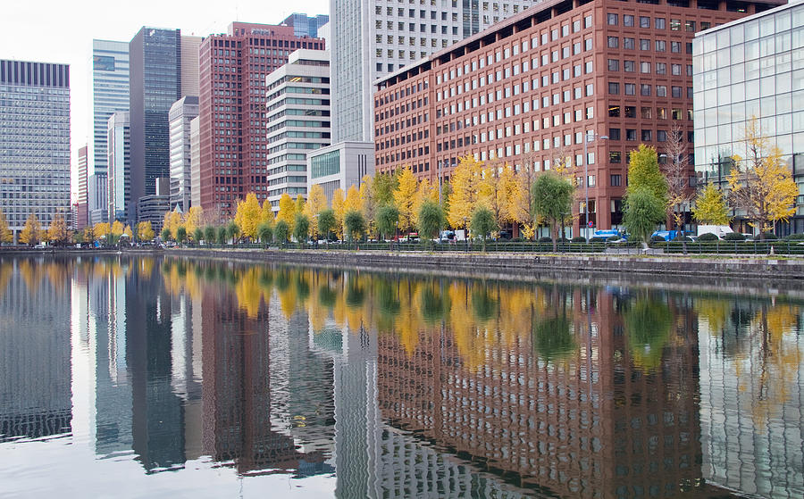 Tokyo Autumn Cityscape Photograph By Lise-lotte Larsson - Fine Art America