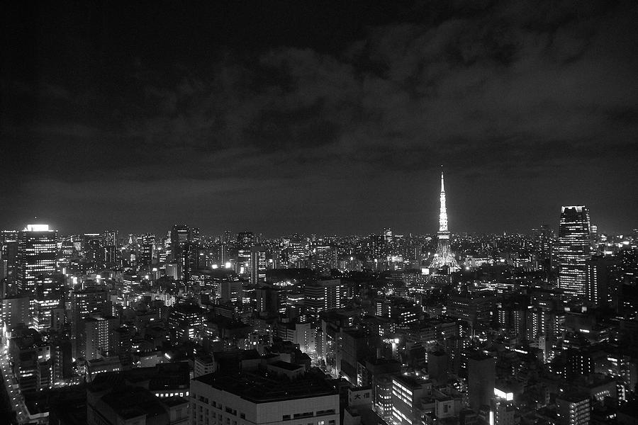 Tokyo Skyline Photograph by Liz Grandstaff - Fine Art America