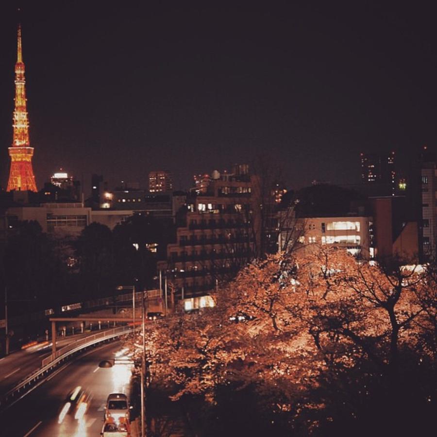 Japan Photograph - #tokyo Tower (東京タワー) From by Kenichi Iwai