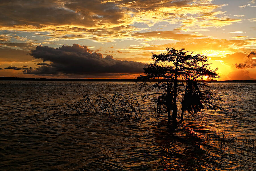 Toledo Bend Sunset Photograph by Judy Vincent