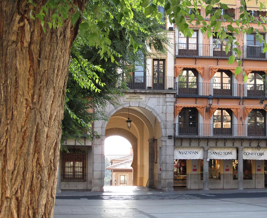 Toledo City Square Photograph by John Shiron