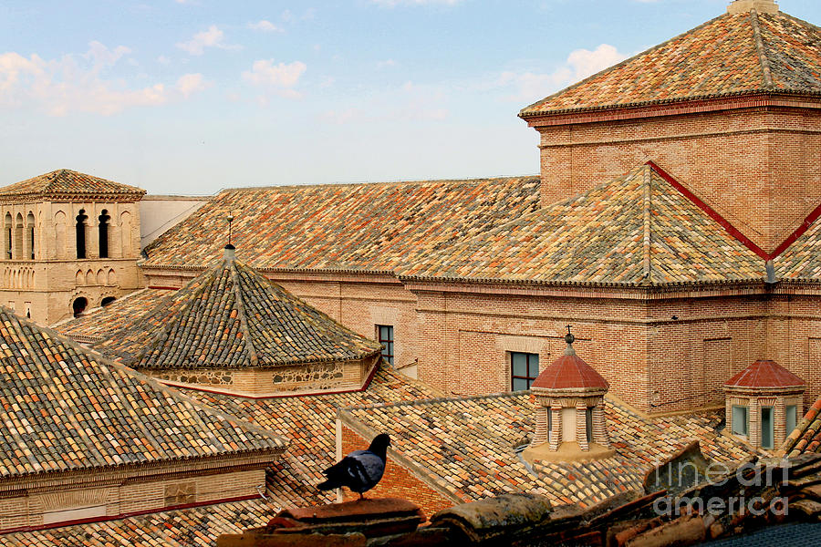 Toledo Roofs and Dove Photograph by Nieves Nitta