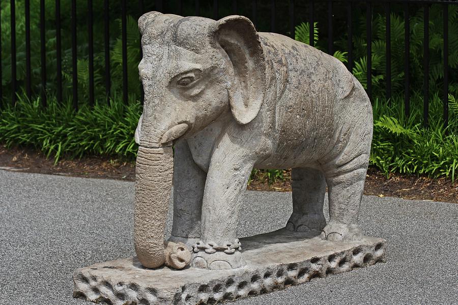 Toledo Zoo Elephant Statue Photograph by Michiale Schneider