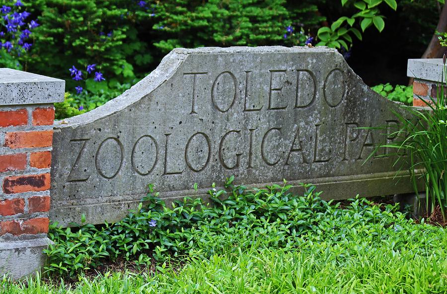 Toledo Zoological Park Photograph by Michiale Schneider