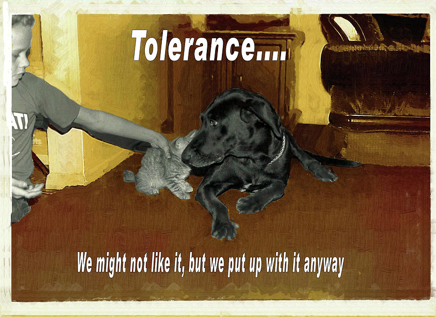 Tolerance Photograph by Laura Smith