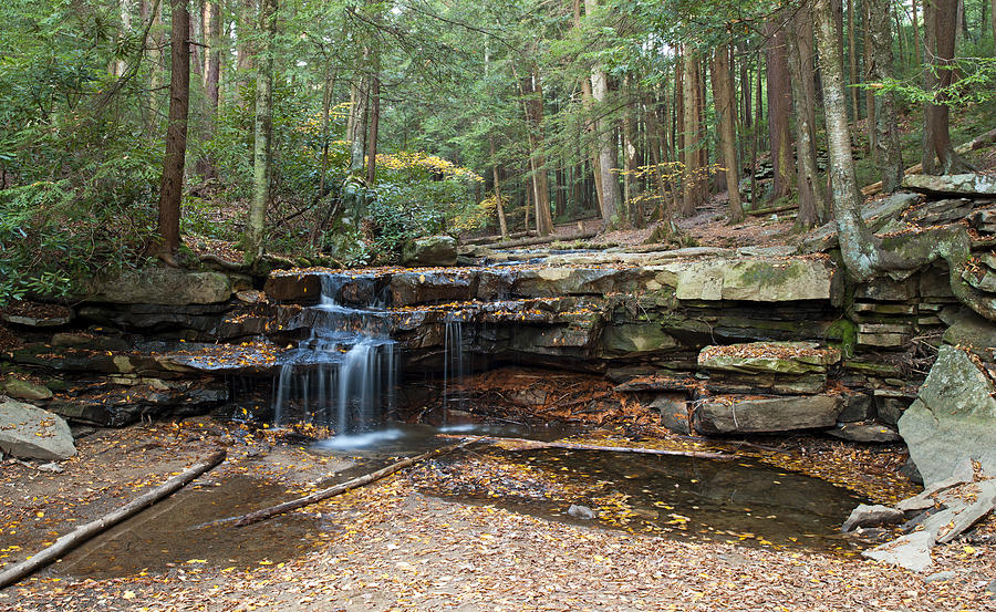 Tolliver Falls in Swallow Falls State Park Maryland Photograph by Brendan Reals