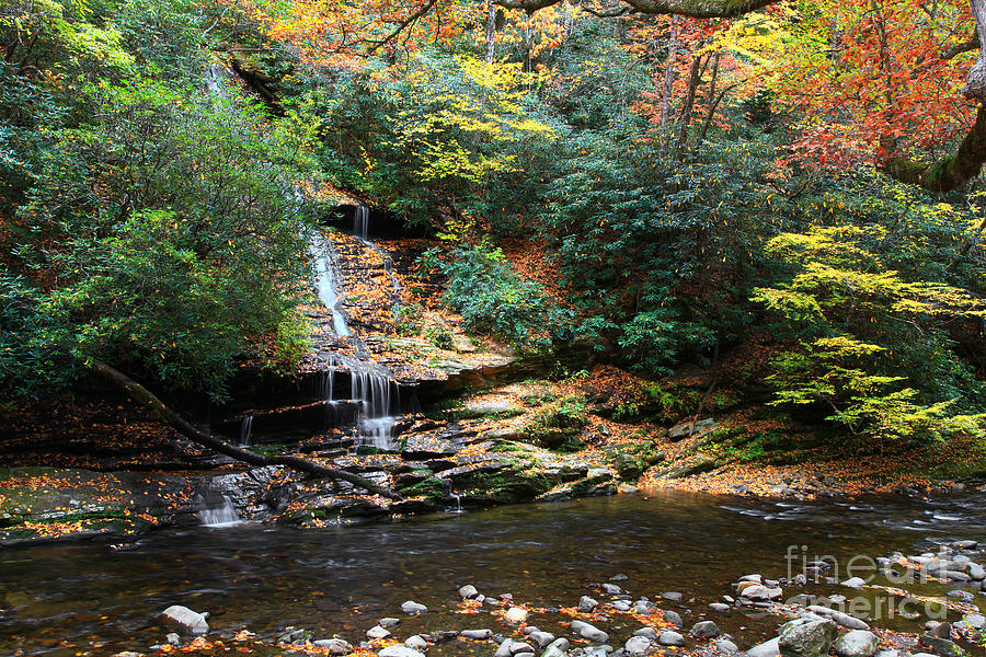 Tom Branch Falls In Nc Photograph