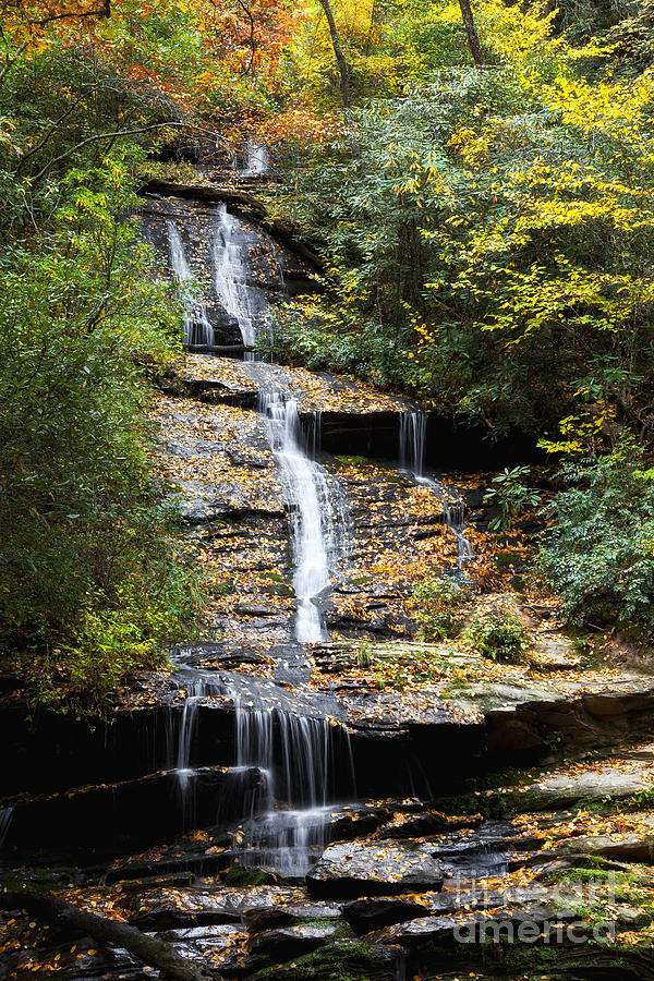 Tom Branch Falls in North Carolina Photograph by Jill Lang