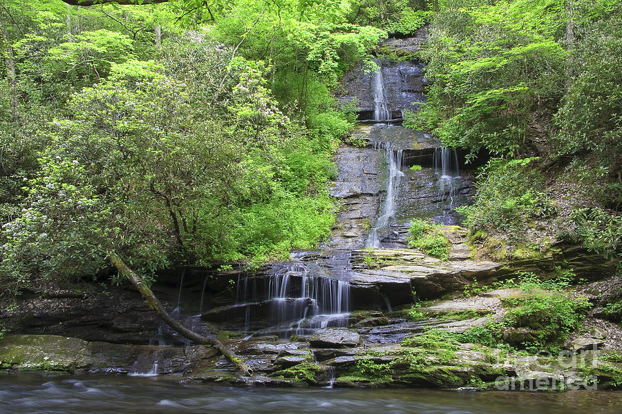 Tom Branch Falls in the Spring Photograph by Jill Lang