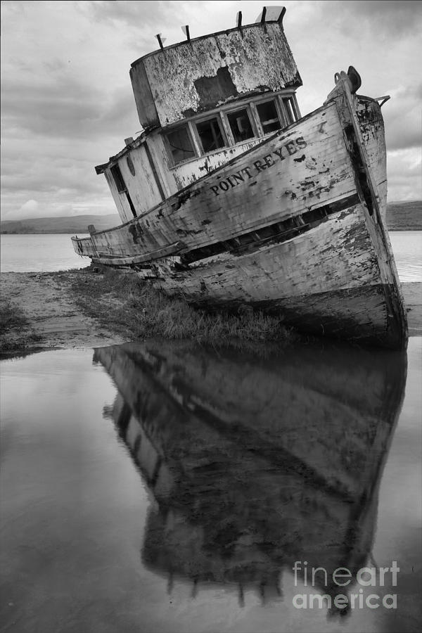 Tomales Bay Shipwreck Black And White Portrait Photograph by Adam Jewell
