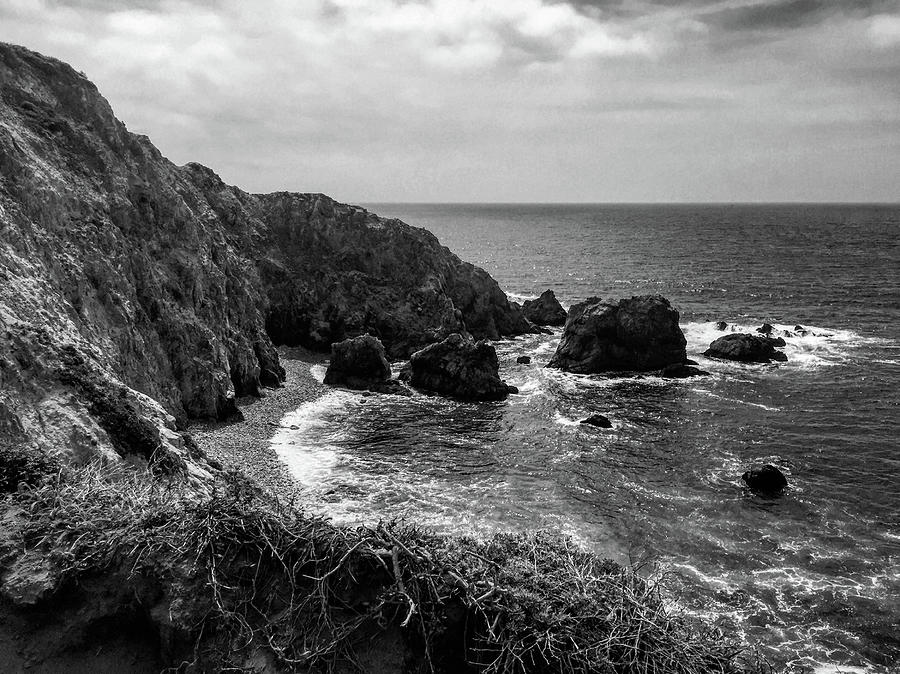 Tomales Point Black and White Photograph by Sierra Vance | Fine Art America