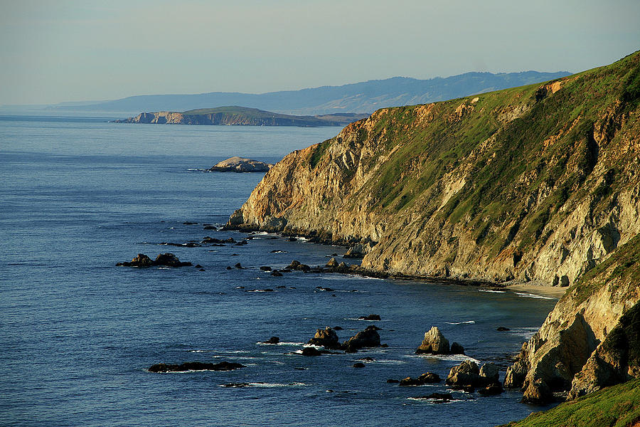 Tomales Point Photograph by David Armentrout