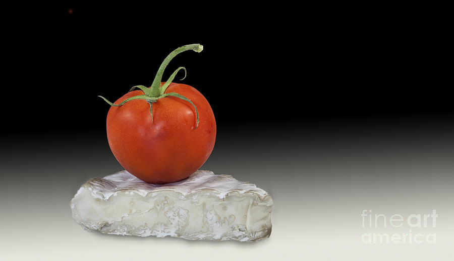 Tomato Photograph - Tomato and Brie by Shirley Mangini