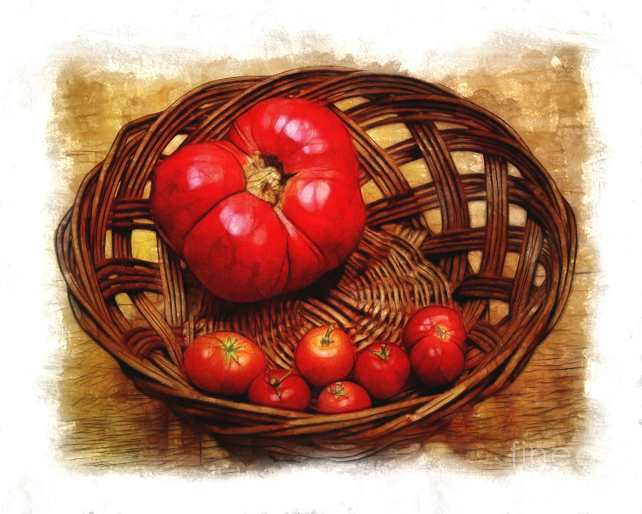 Tomato Basket in Watercolor Photograph by Judi Bagwell