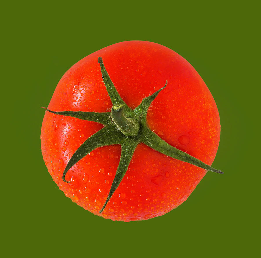 Tomato BG Green Photograph by D Plinth