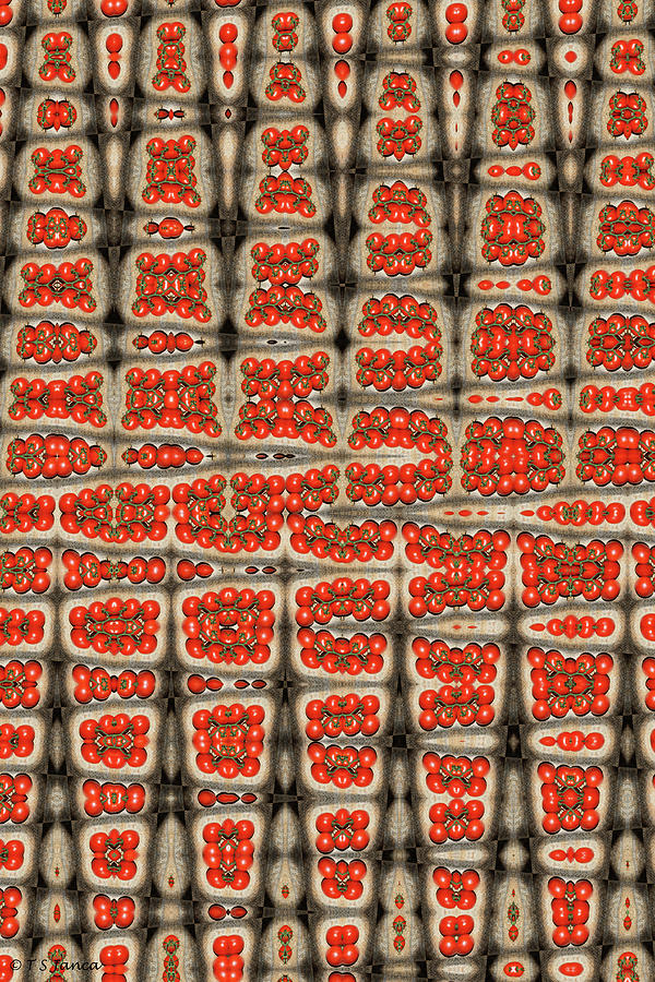 Tomato Harvest Abstract Digital Art by Tom Janca