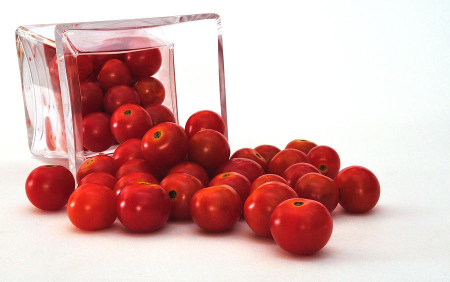 Tomato Harvest Photograph by Mark Fuller