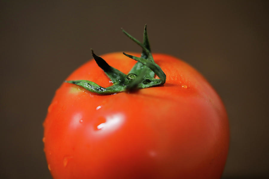 Tomato Photograph by Hyuntae Kim