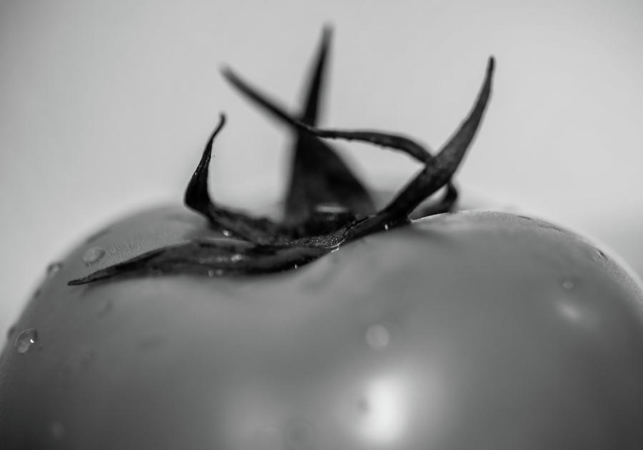 tomato II Photograph by Hyuntae Kim