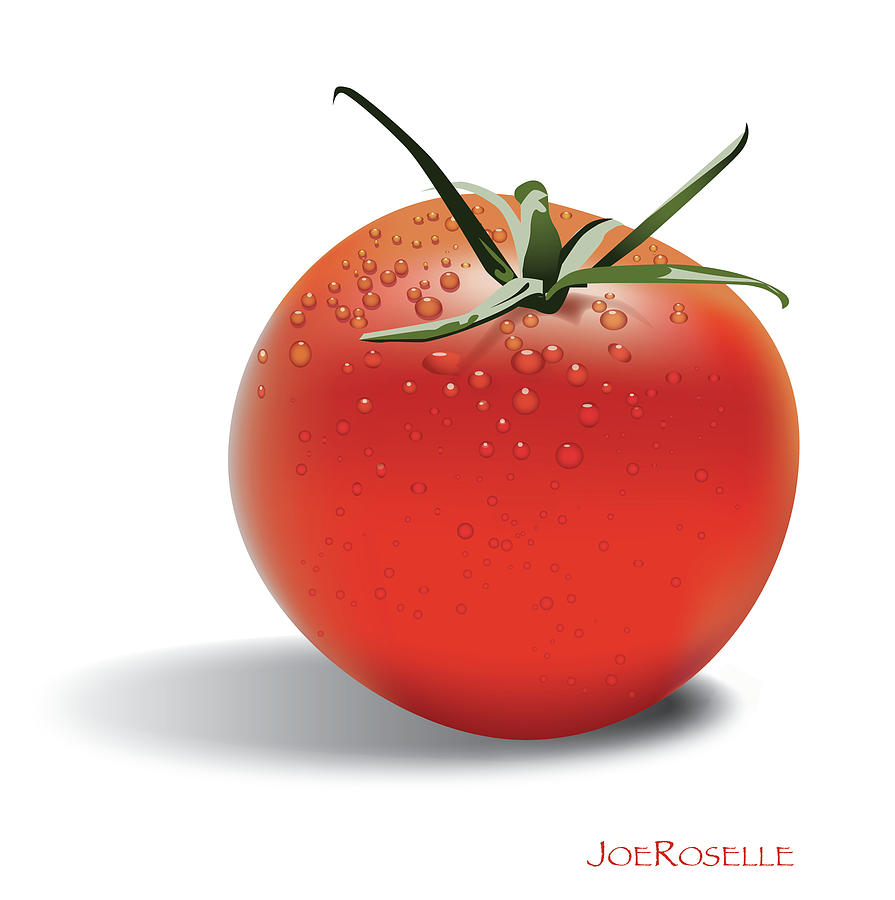 Tomato Digital Art by Joe Roselle