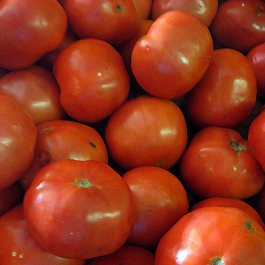 Tomato Photograph by John Vincent Palozzi