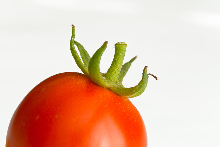 Tomato Photograph by Jonathan Nguyen