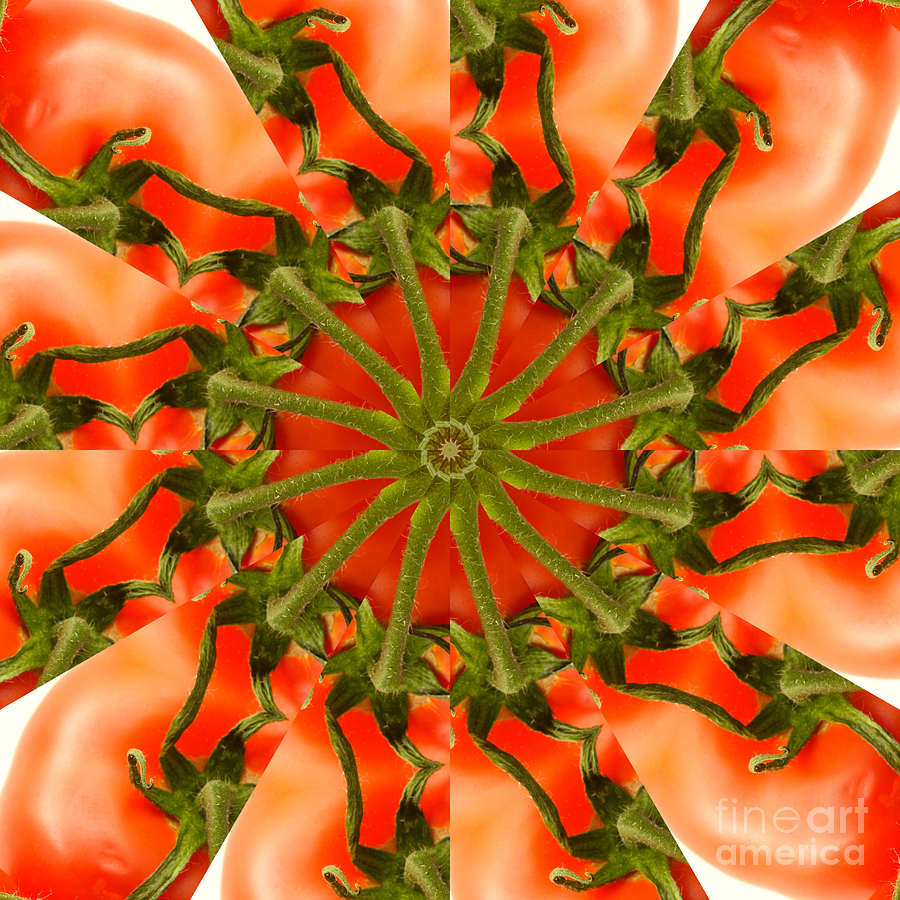 Tomato Kaleidoscope Photograph by Rolf Bertram
