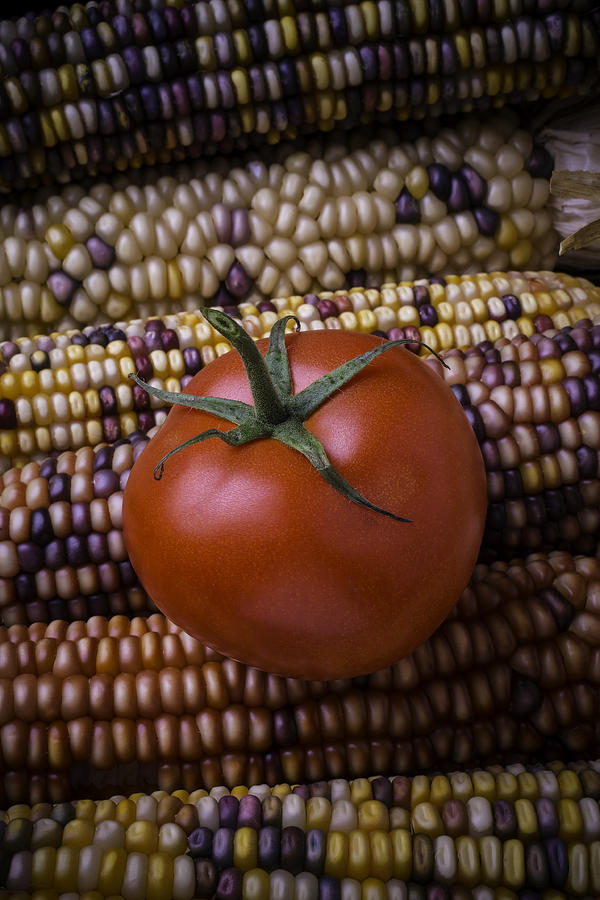 Tomato On Indian Corn Photograph by Garry Gay