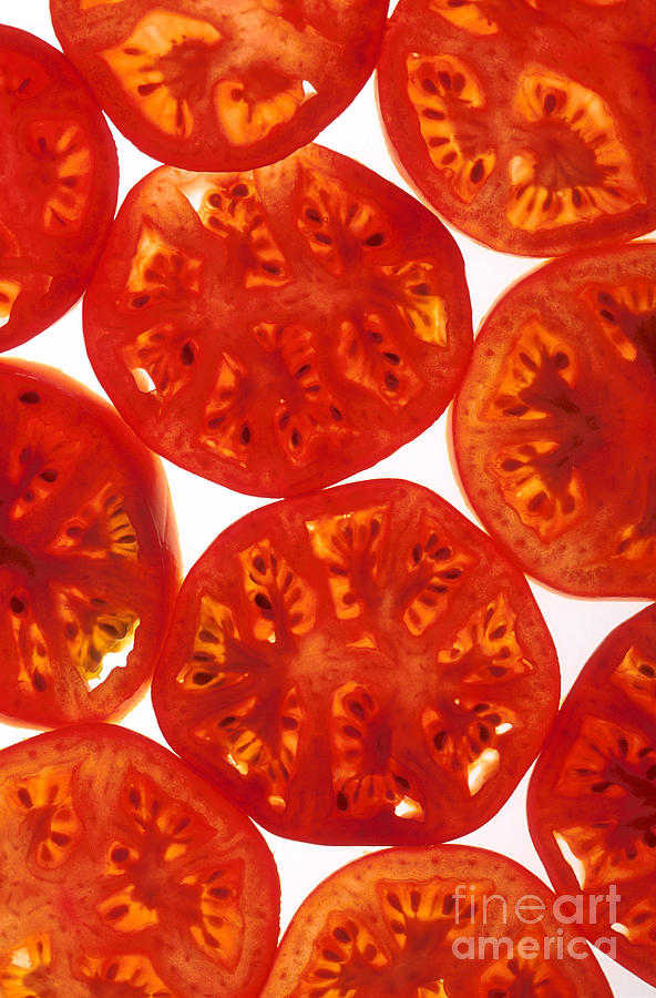 Tomato Slices Photograph by Photo Researchers