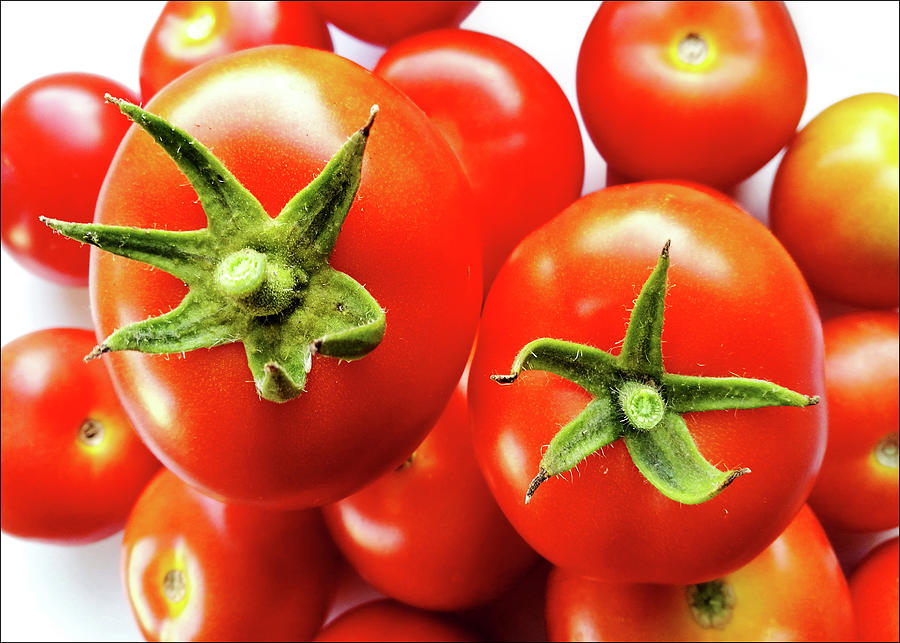 Tomato Features Photograph