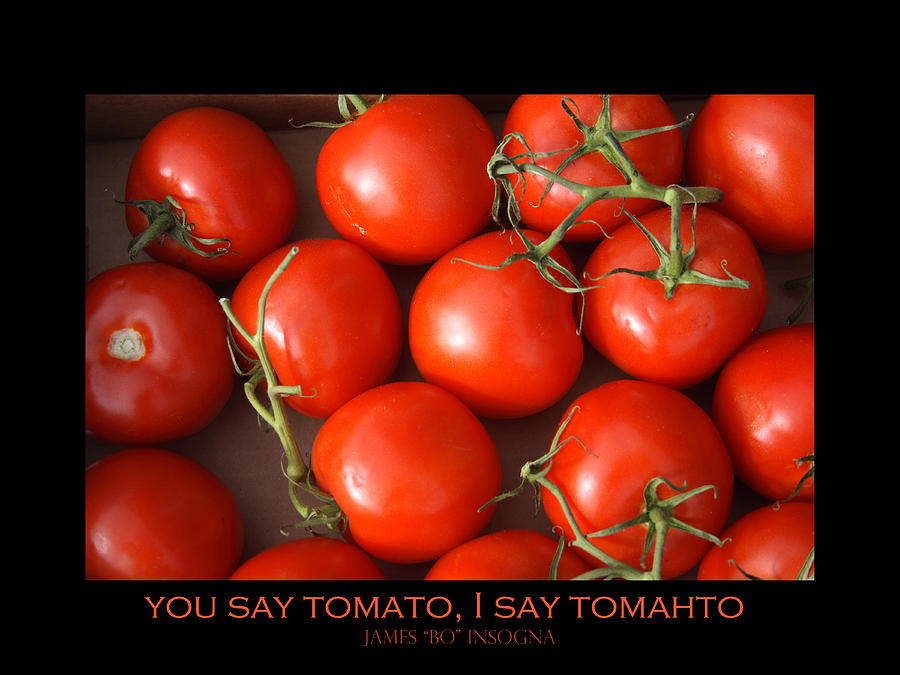 Tomato Tomahto Fine Art Food Photo Poster Photograph by James BO Insogna