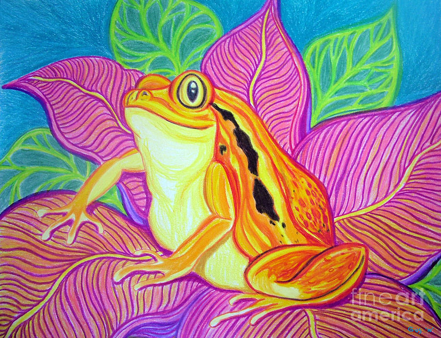 Tomatoe Frog Drawing