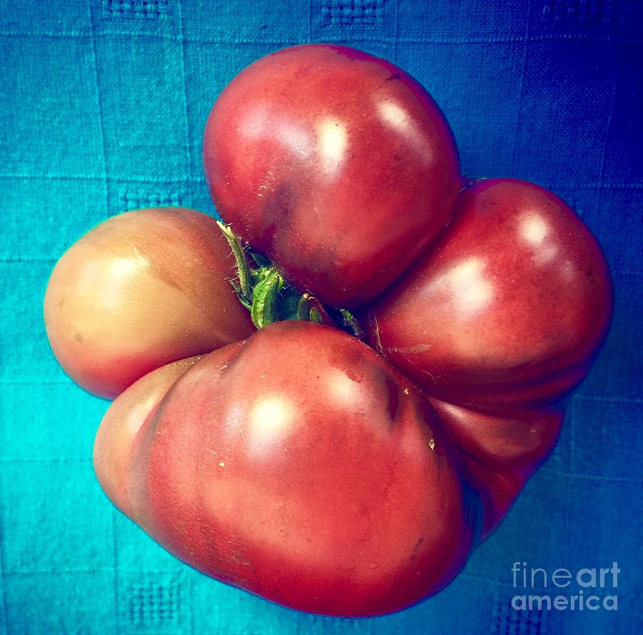 Tomatoe Photograph by Suzanne Lorenz