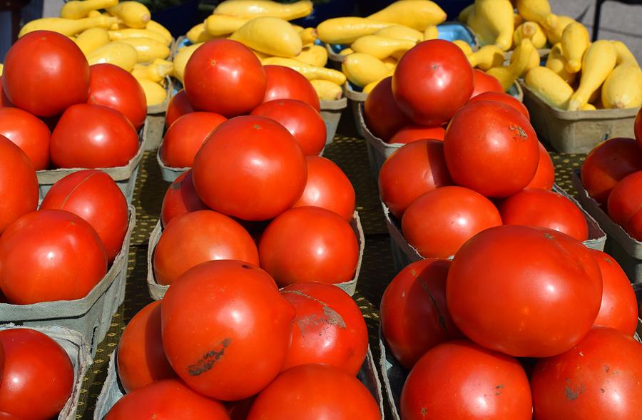 Tomatoes and Squash Photograph by Timothy Smith - Fine Art America