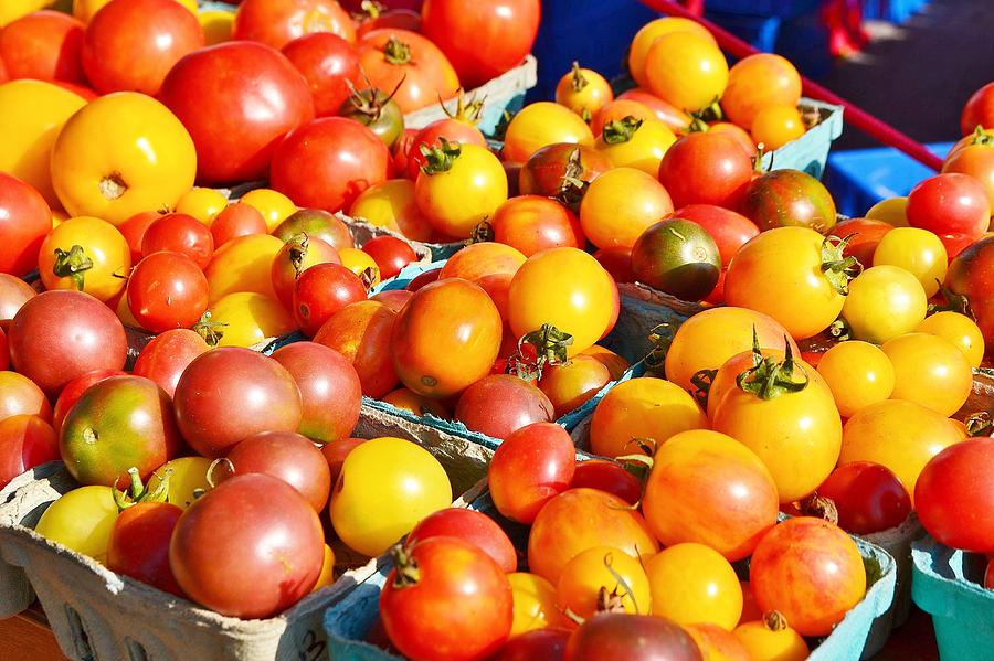 Tomatoes at the Farmers Market Photograph by Kim Bemis